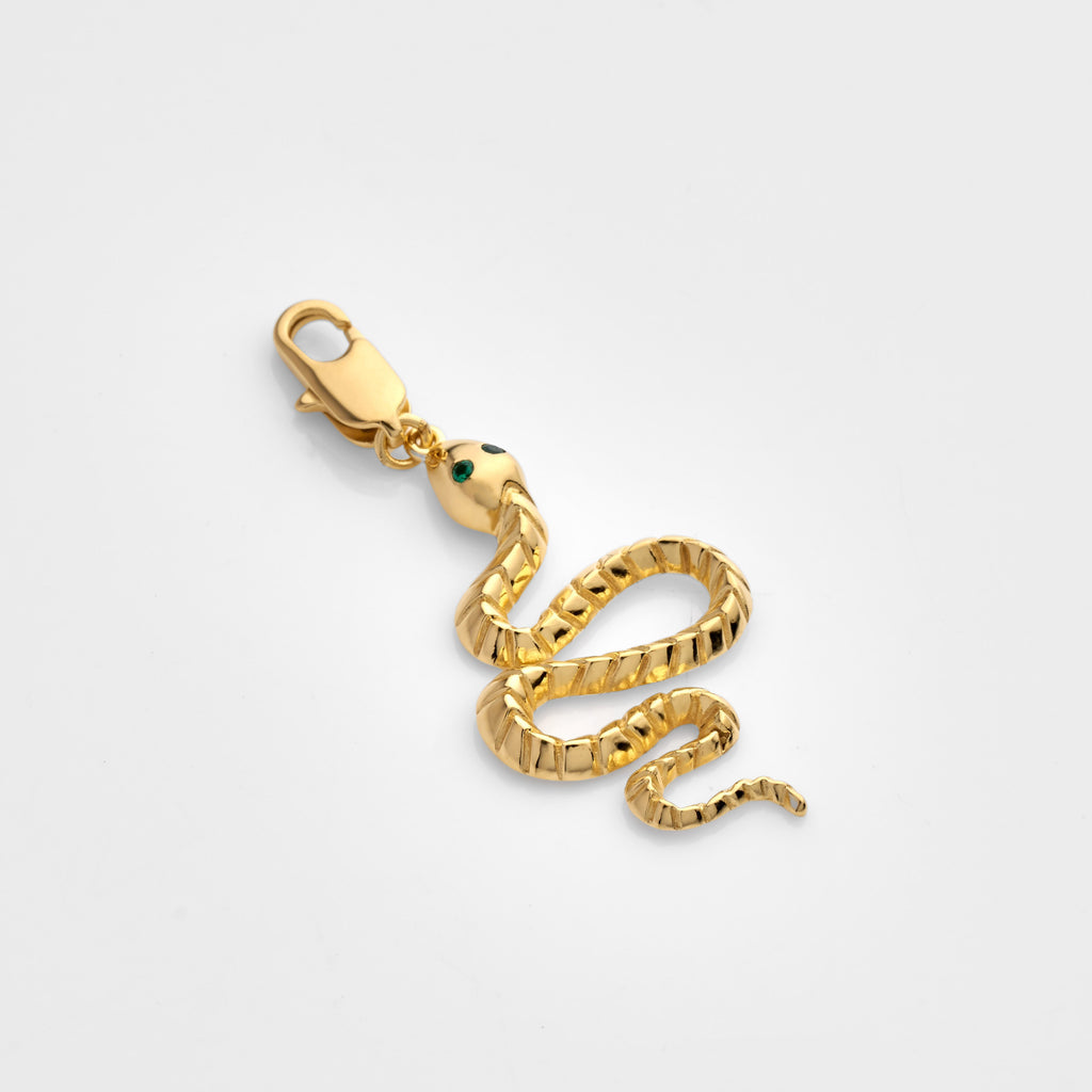 Snake Clip-On Charm And Twisted Paperclip Chain Set